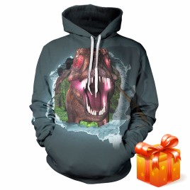 3D Painting Dinosaur Hoodie Sweater with Long Sleeves Animal Sweatshirt Sports Cool Men's Woman's Couple Winter Sports
