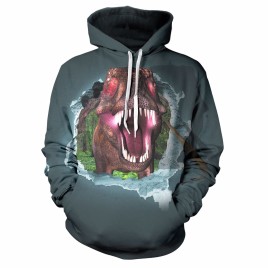 3D Painting Dinosaur Hoodie Sweater with Long Sleeves Animal Sweatshirt Sports Cool Men's Woman's Couple Winter Sports