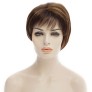 Fashion Fluffy Side Bang Brown Mixed Black Charming Short Straight Synthetic Capless Wig For Women