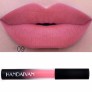 HANDAIYAN Matte Velvet Cosmetics Nude Red Lip Gloss Waterproof Long-Lasting Makeup Liquid Lipstick 